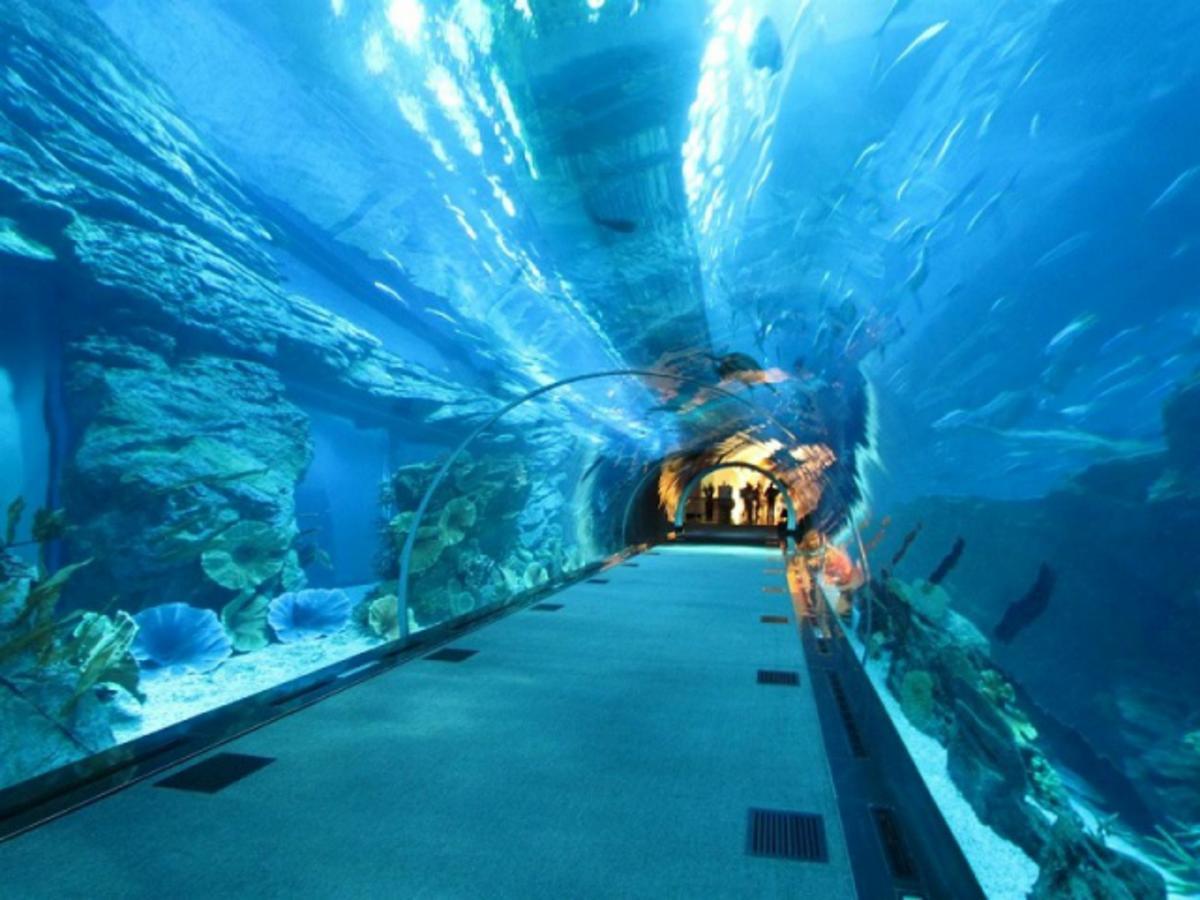 Hotel Bologna ريميني المظهر الخارجي الصورة